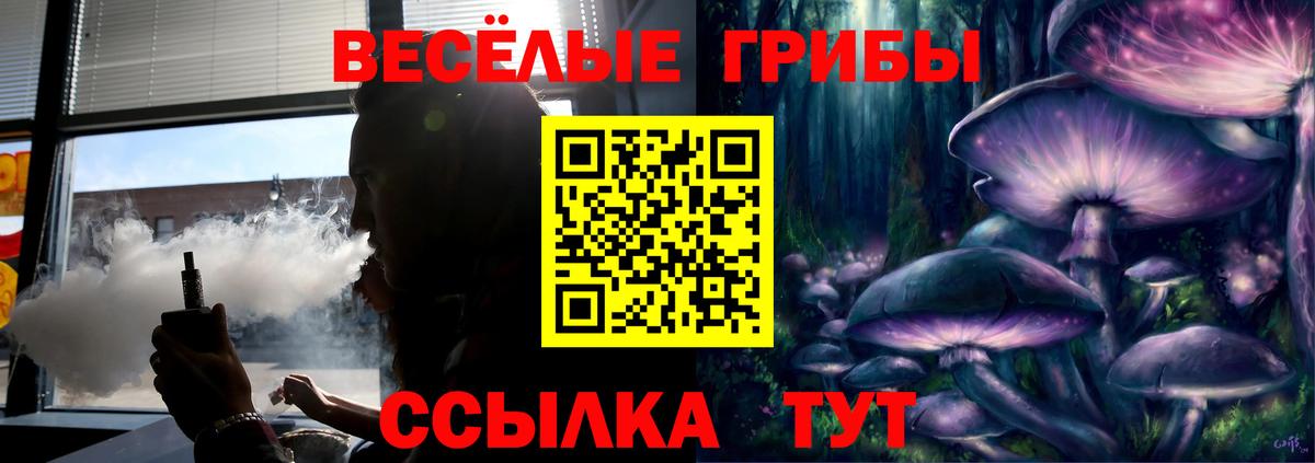 Галлюциногенные грибы GOLDEN TEACHER  Псилоцибиновые грибы Cubensis  Вход с VPN  цена   Новодвинск 